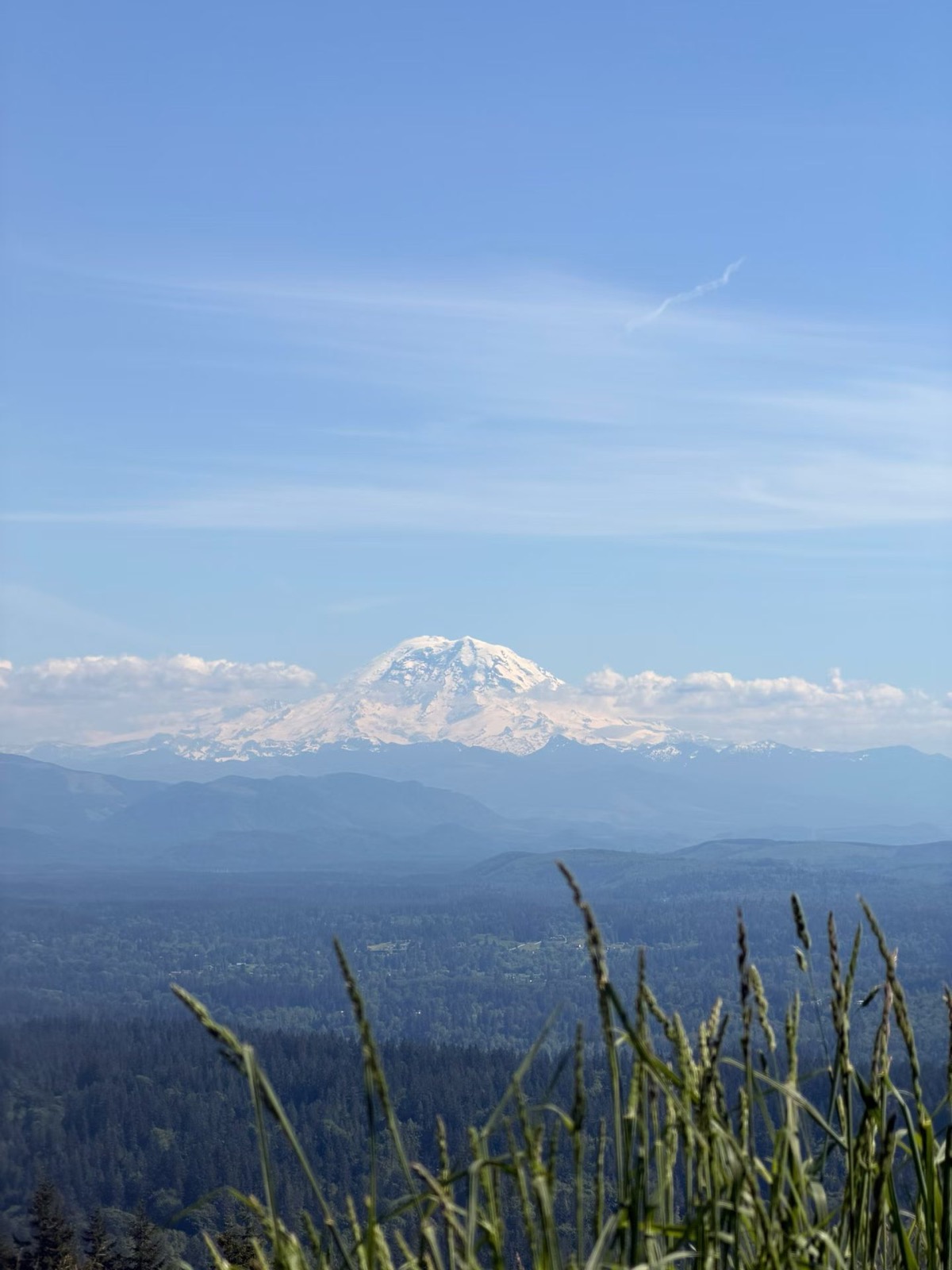 Mount Rainier seen above the forest outside Seattle