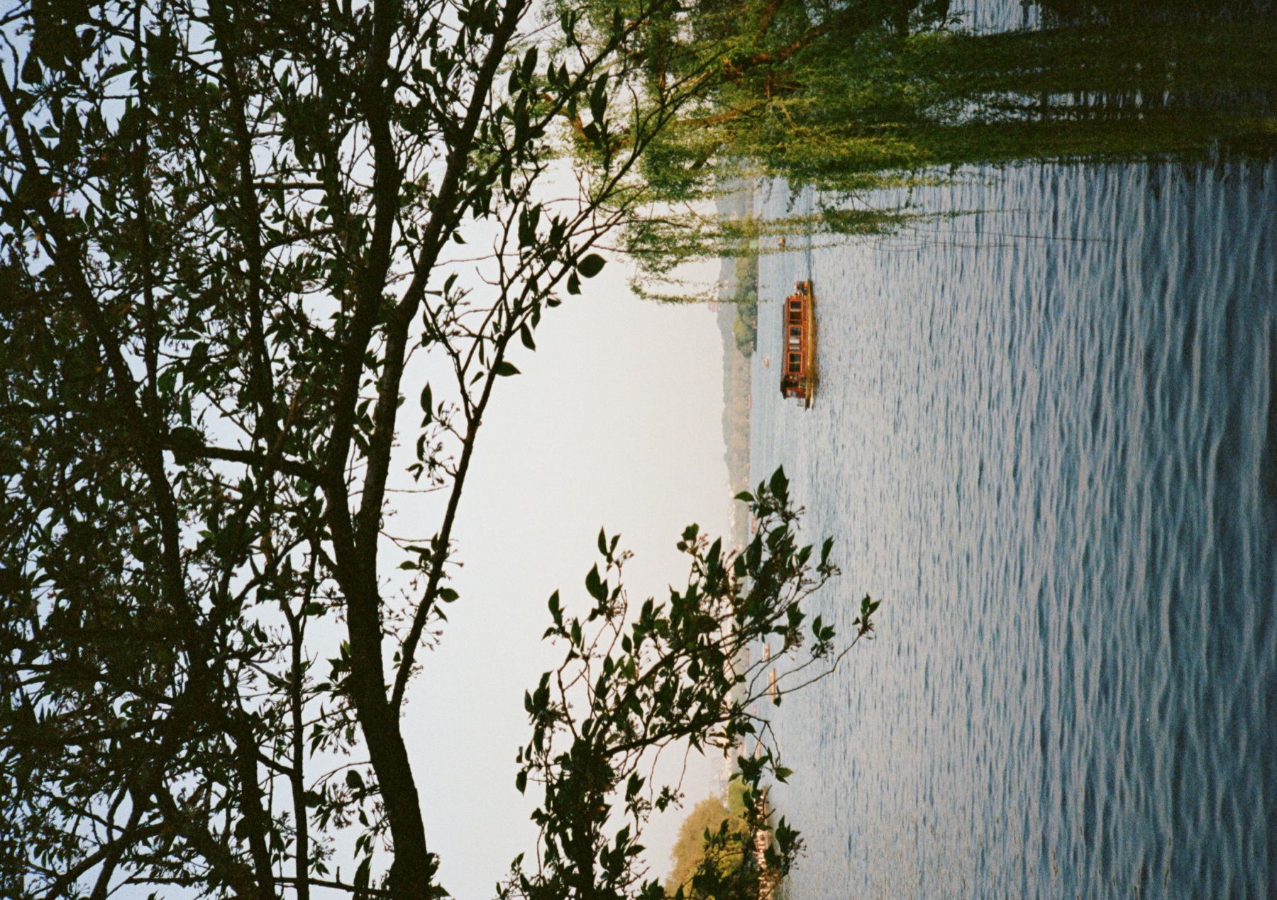 A boat passing beneath trees on a lake in Beijing